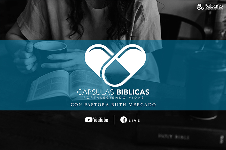 capsulas-biblicas-800x500